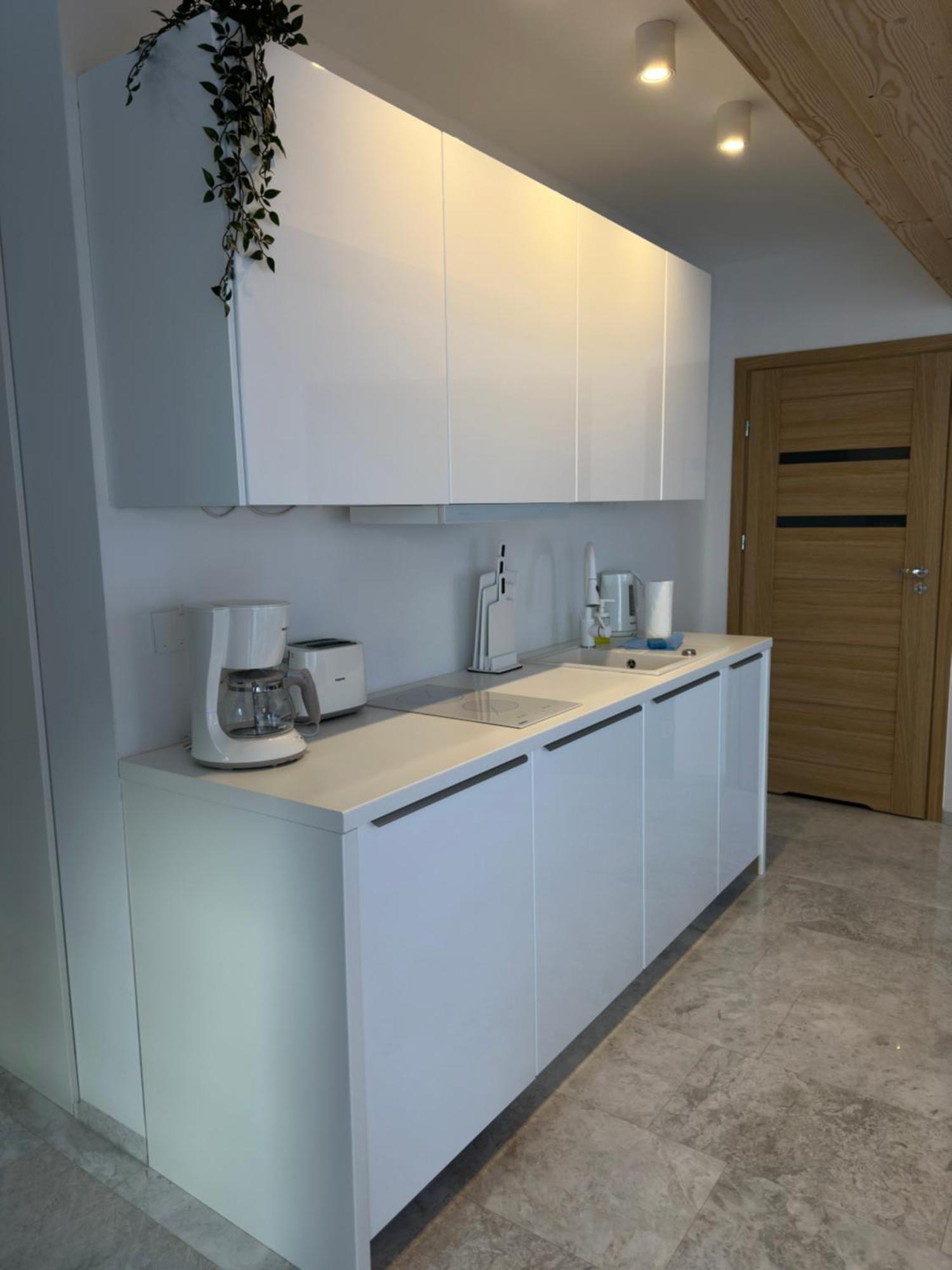 Apartamenty Willa Nika 자코파네 외부 사진